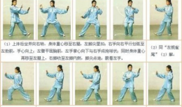 二十四式太极拳教学视频,入门必看，轻松掌握太极拳精髓