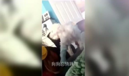 宅男小视频,揭秘现代宅文化的娱乐新宠